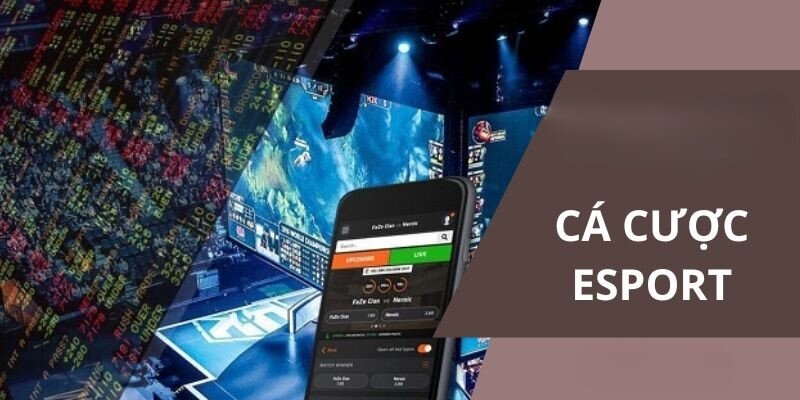 Tìm hiểu về cá cược Esports là gì