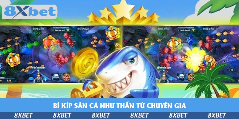 Bí kíp săn cá như thần từ chuyên gia