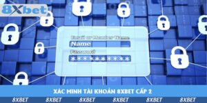 xac-minh-tai-khoan-8xbet-cap-2